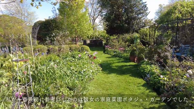 ナチュラルガーデン春|イギリス,スコットランド老夫妻の癒しの庭|チューリップ|イングリッシュガーデン|65年間掛け創り上げた秘密の花園|暮らしvlog|オープンガーデン