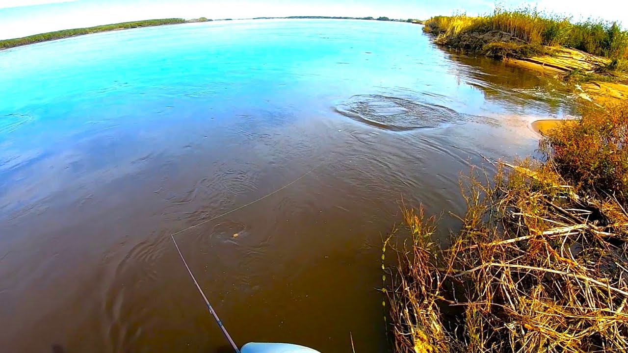 Подробности самой успешной рыбалки в сентябре! Невероятные результаты! смотреть онлайн