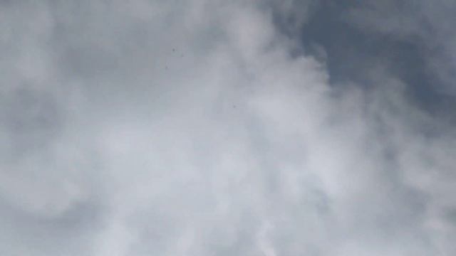 Бойные Голуби. Сизахран забивается. 05.11.20 Грузия. Тбилиси смотреть онлайн