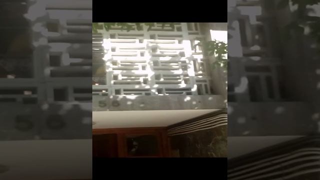 τσιλιαδορος της μαφιας Χίου 56 Άννα Ζηνωνος