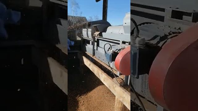 Кедровый орех Бурятии, помол!