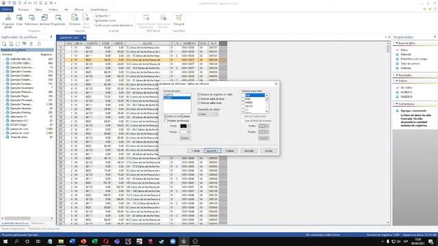 Aplicación práctica caseware idea DBF смотреть онлайн