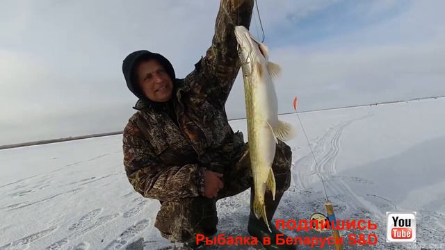 РЫБАЛКА НА СТАВКИ С ДРУЗЬЯМИ НА ВОДОХРАНИЛИЩЕ смотреть онлайн