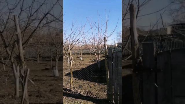 Продаётся дом в ст.Привольная!