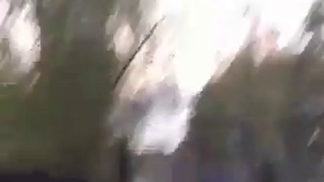 Больная кошка^_^ смотреть онлайн