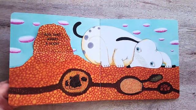 Краткий обзор книги "Где живет птичка" . Развороты. смотреть онлайн