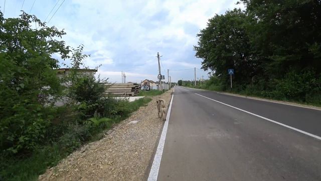 Новый маршрут #бег #trailrunning #running #longrunning