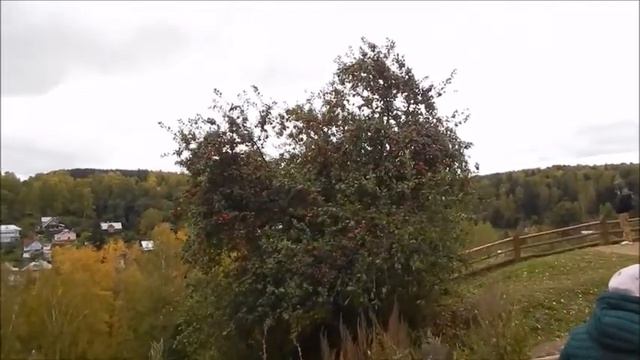 Плёс на Волге смотреть онлайн