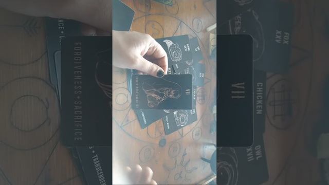 General Collective Reading #witchcraft #oraclereading #oraclecards #practicalMagic смотреть онлайн