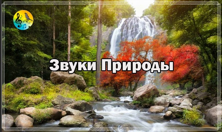 Исцеляющая Музыка Для Лечения ? Успокойтесь Шумом Воды И Нежным Журчанием Ручья В Лесу.Я Сна смотреть онлайн
