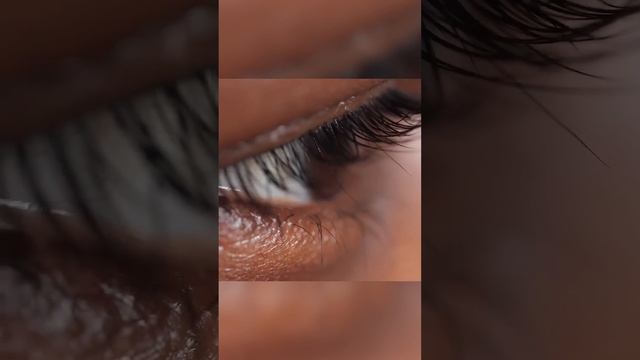 В твоих бровях и ресницах живёт это смотреть онлайн