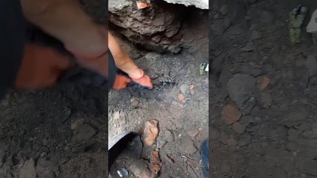 Треснул Дом? обращайтесь к нам 89284419679 смотреть онлайн