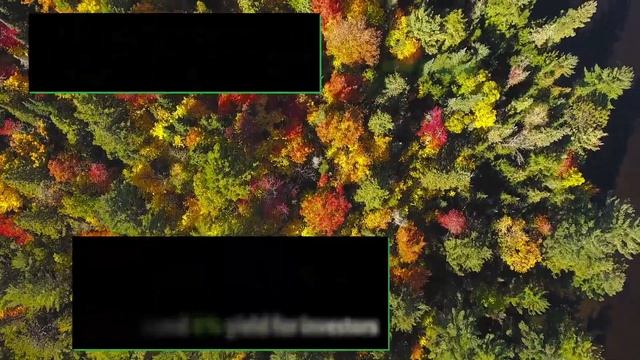 Discover Markham Real Estate | Where And Why To Invest In Markham?