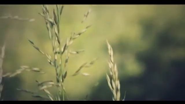 Oh my deer смотреть онлайн