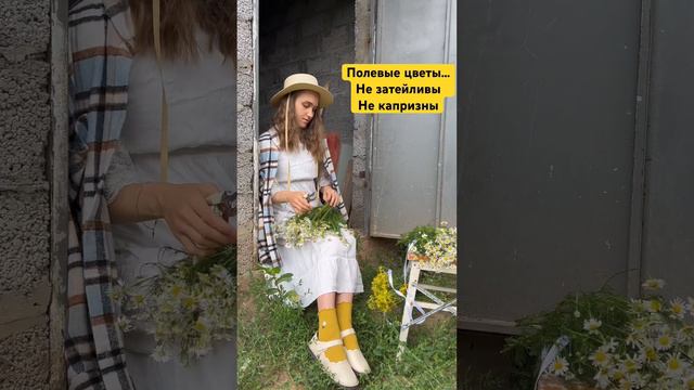 Полевые цветы…🌼 #букет #ромашки #своимируками #цветы #природа смотреть онлайн