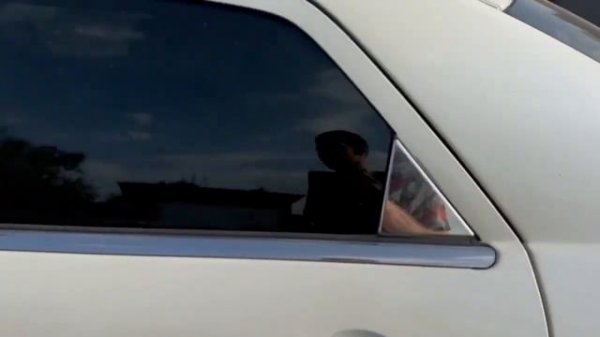 Флекс от DL Audio Phoenix Bass Machine 15