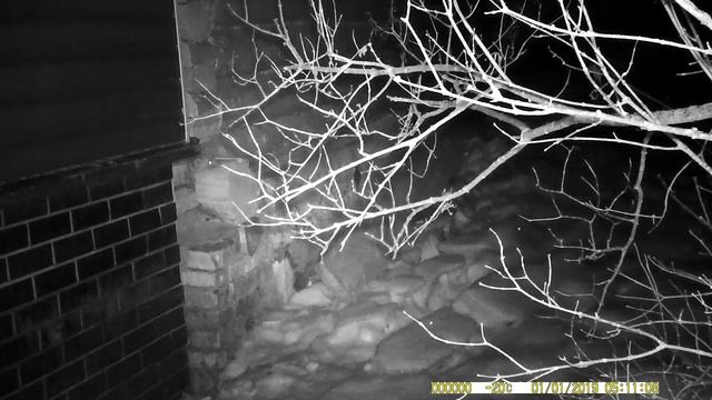 куница 06.01.2023 смотреть онлайн