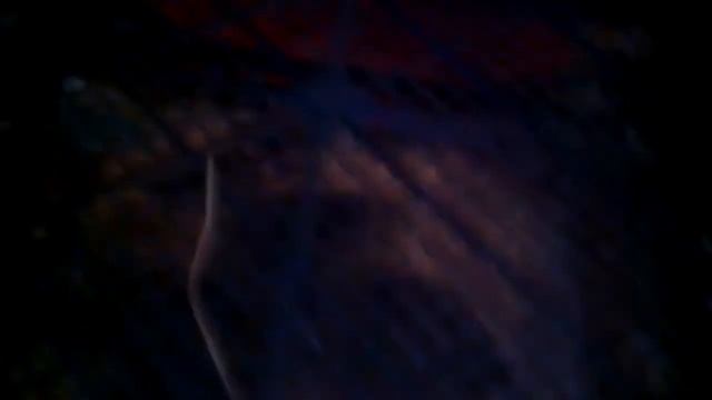 Гуси породы крупная серая смотреть онлайн