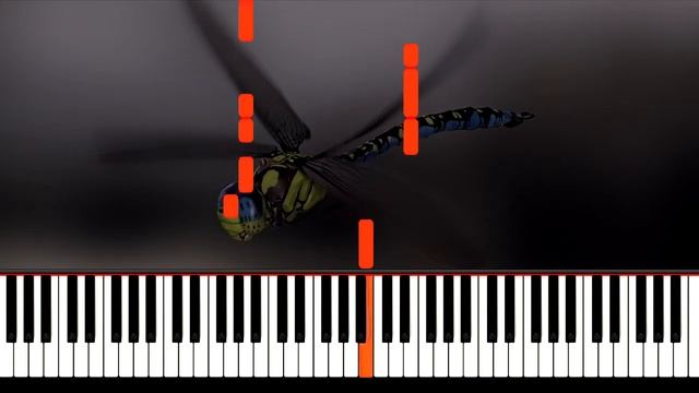 Quest Pistols Белая стрекоза любви ноты