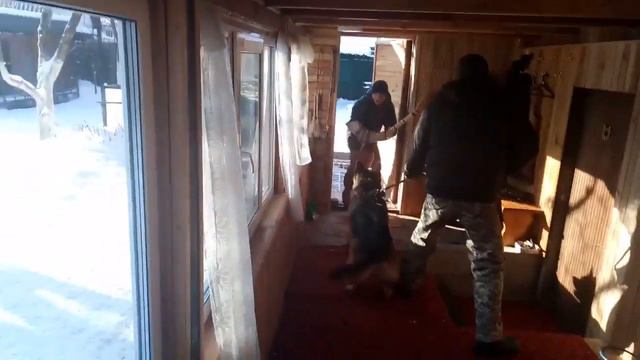 Охрана дома смотреть онлайн