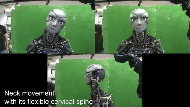 Flexibility is the Key to a Good “Workout,” for Human-Resembling Robots смотреть онлайн