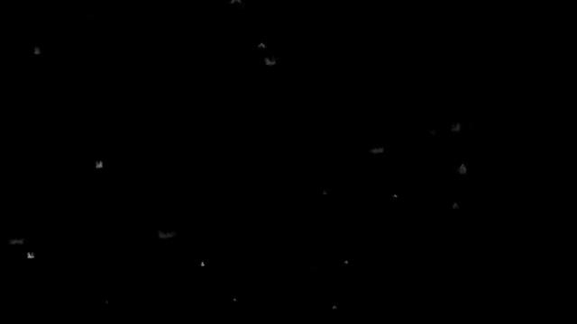 Мотыльки заставка красивая смотреть онлайн