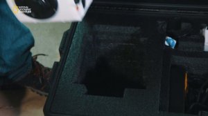 Топ-10 мегамонстров (документальный фильм, 2015)