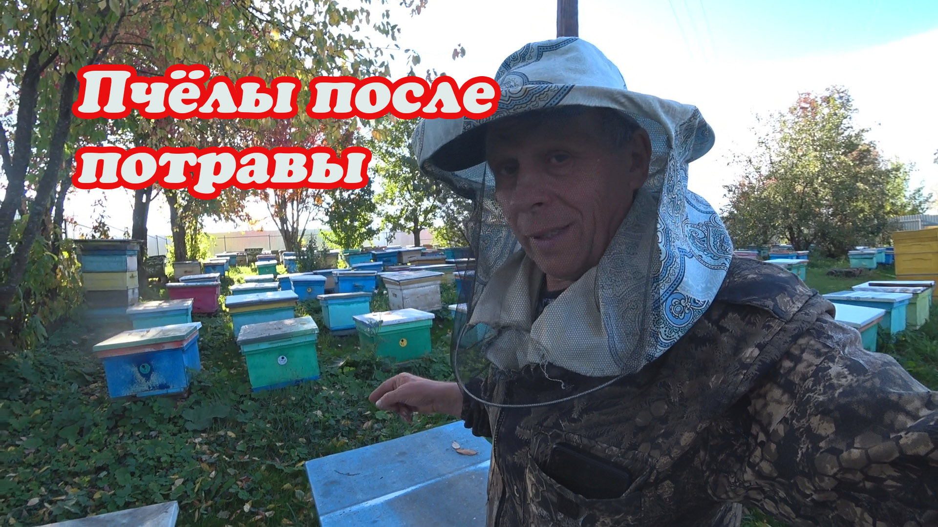 ПОСЛЕДСТВИЯ ПОТРАВЫ ПЧЁЛ В ЛЕТНИЙ ПЕРИОД, СПУСТЯ ТРИ МЕСЯЦА, А ЧТО БУДЕТ С ЗИМОВКОЙ смотреть онлайн