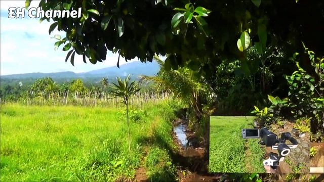 Handycam Sony HDR cx240e with Gimbal Moza Aircross S смотреть онлайн