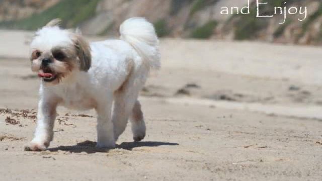 Lila and Bella's Big Day Out.wmv смотреть онлайн