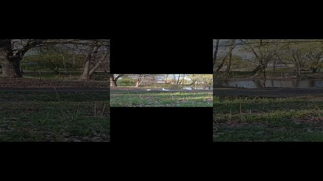 гуси гуси га га га смотреть онлайн