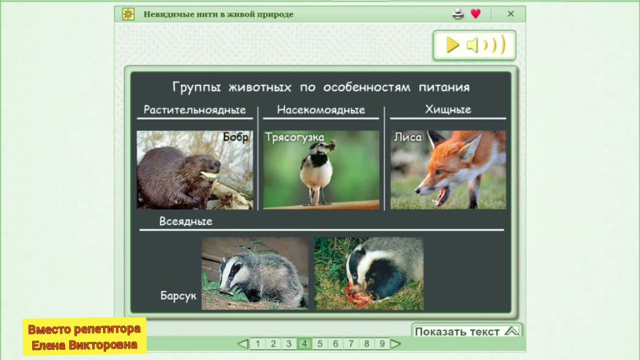 Невидимые нити в живой природе смотреть онлайн