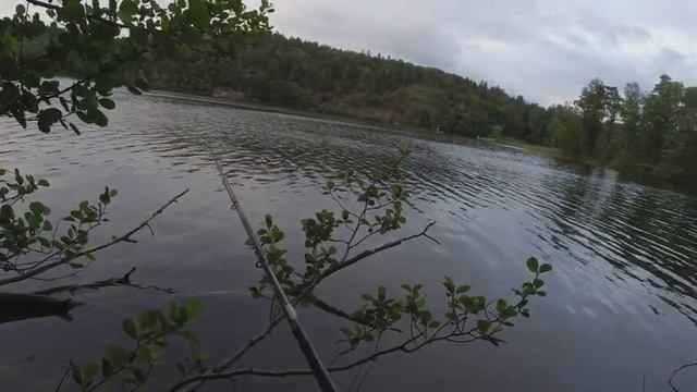 Самая универсальная приманка на хищника летом. смотреть онлайн