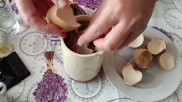 Полезный порошок из яичной скорлупы смотреть онлайн