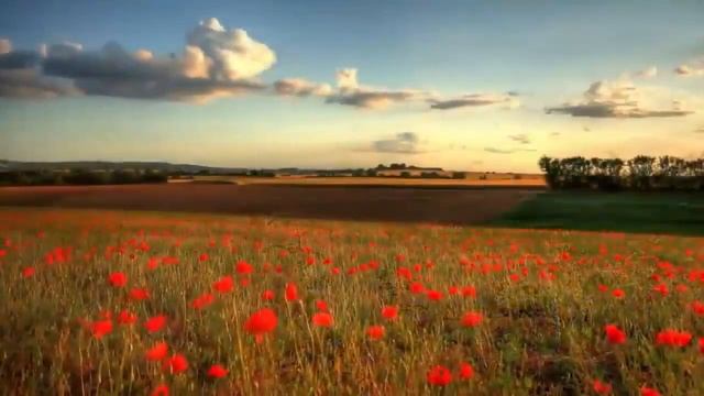 Песня на стихи Есенина