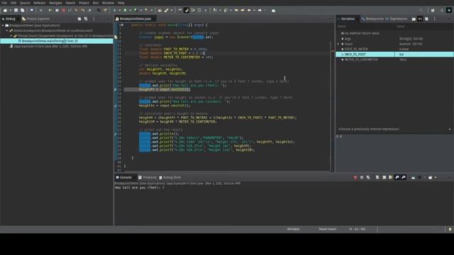 Using Breakpoints in Eclipse смотреть онлайн