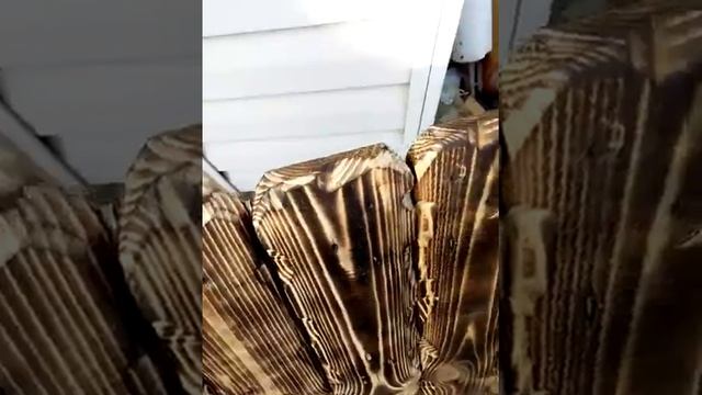 Старение дерева. смотреть онлайн