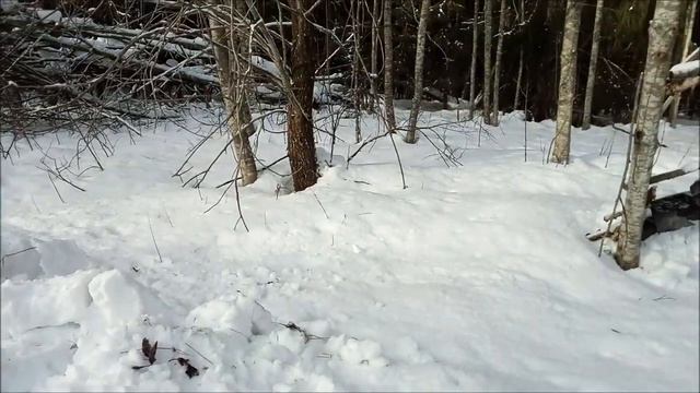 Зимний Коп 2019 года смотреть онлайн
