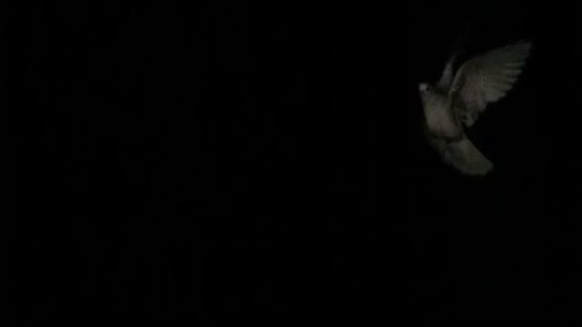 Крещение смотреть онлайн