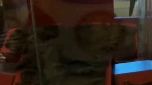 Исторический музей смотреть онлайн