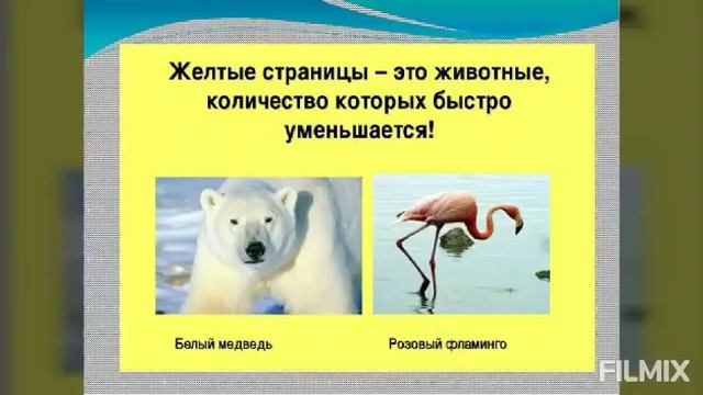 Естествознание смотреть онлайн