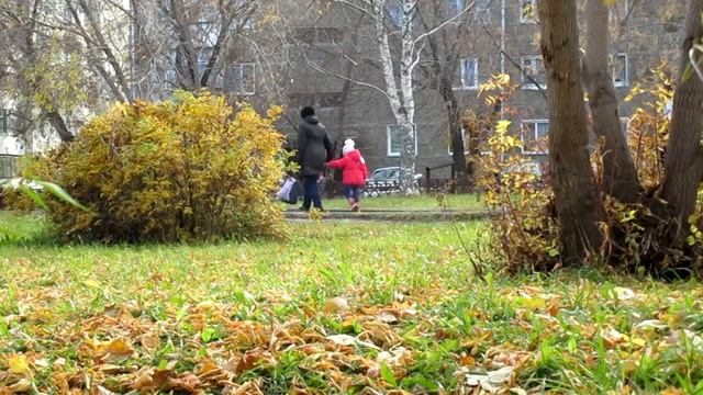 Радиационное воздействие.Radiation Exposure