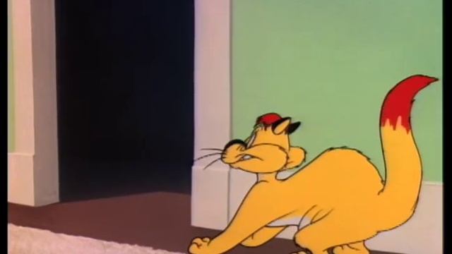 Scaredy Cat смотреть онлайн