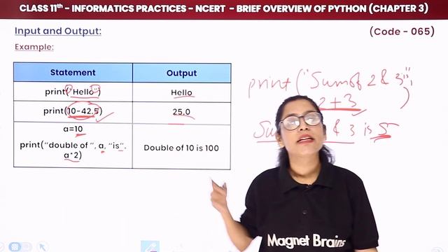 Class 11 Informatics Practices Chapter 3|Input & Output in Python-Brief Overview of Python(Code 065 смотреть онлайн