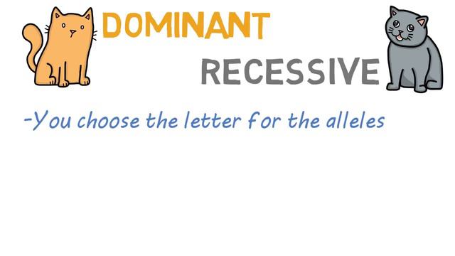Dominant Alleles vs Recessive Alleles | Understanding Inheritance смотреть онлайн