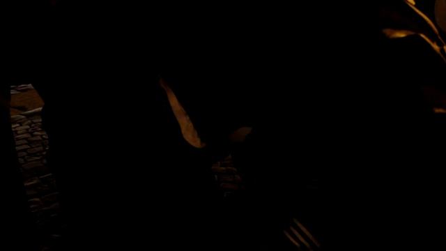БЕЛКА В КОЛЕСЕ (ОТ ТРАКТОРА) / КАТАЕМСЯ ПО ЦЕНТРУ ПИТЕРА смотреть онлайн