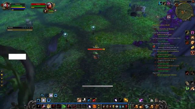 WoW Classic Era - Druid Feral World PvP - Raging смотреть онлайн