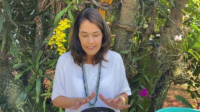 PLANTAS FLORIDAS: Amarílis: Técnica para fazer voltar a florir rápido смотреть онлайн