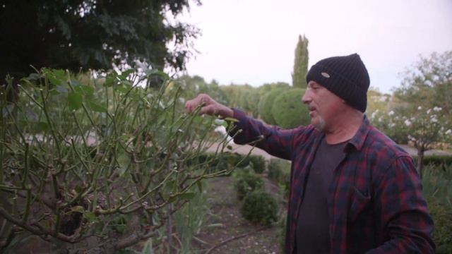 How I Prune My Roses смотреть онлайн