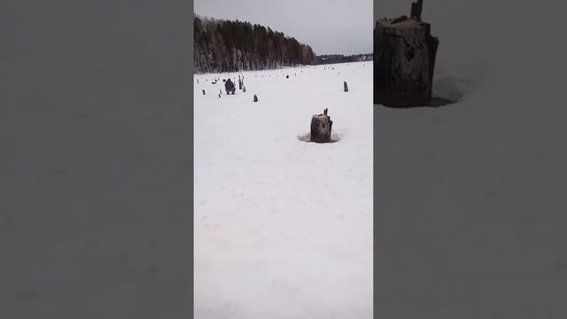Рыбалка с Женой смотреть онлайн